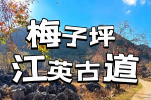 每周【梅子坪+江英古道】一次性打卡两大网红古道，走进“千里江山图”、“墨石公园”画卷中