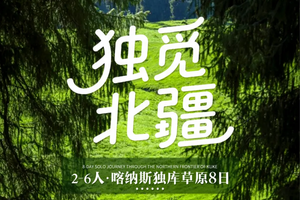 2026【童话新疆·2-6人小团·独觅北疆8日】