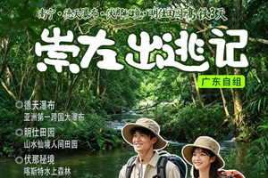 端午南宁+崇左秘境3天2晚高铁纯玩团