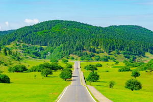 【匠心重庆5天】重庆洪崖洞+解放碑+李子坝轻轨穿楼+磁器口古镇+白公馆+天生三桥+仙女山+龙水峡地缝纯玩5天游