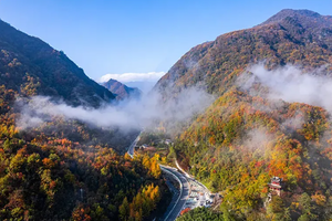 【秦巴秋韵】10-11月光雾山-黄柏塬-留坝狮子沟-最美乡村公路高江路-龙头山云海-十八月潭6日私家探秘之旅！