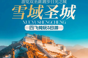 雪域圣城丨拉萨 布达拉宫 大昭寺 纳木措 羊卓雍措5日纯玩跟团游