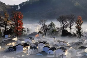 【篁岭晒秋，婺源瑶里3日】赏摄晒秋人家，石城醉美红叶，漫步瑶里古镇