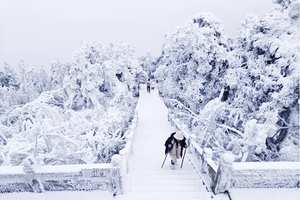 【雪域衡山高铁2日游】南岳衡山独如飞,徒步朝圣天路,走进白色梦幻世界