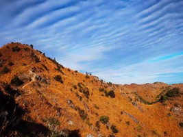 成团！【6/7日】【新线】金竹嶂环线，穿越密集竹林，形成壮丽的自然独特景观，俯瞰连绵山峦。