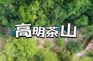 21日特价88元，【高明茶山】休闲徒步高明茶山 秘寻山中柴火鸡、让舌尖行走山林