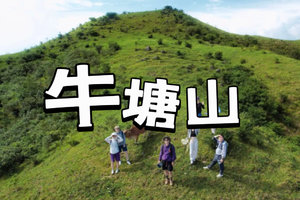 【恩平牛塘山】登恩平秘境牛塘山 赏醉美高山草甸