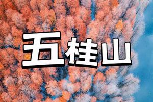 【中山五桂山】打卡中山“小九寨”，邂逅西坑尾水杉林，登白云顶
