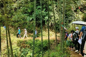 成团！【星溪线】穿越十里竹海 ，竹筒饭，徒步从化最美乡村小径，入门级徒步路线