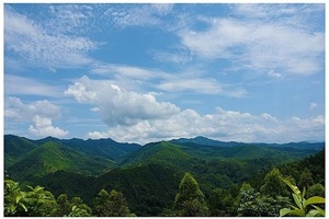 特惠99【20日】云浮大云雾山登山