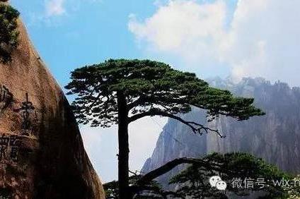 行程不简单【传奇领队】【广州出发】【三山五湖】黄山+三清山+景德镇+鄱阳湖+武夷山