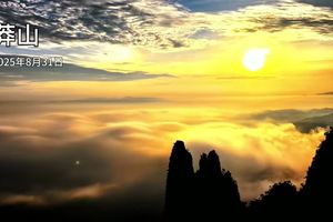 2025年8月31日莽山活动拍摄制作