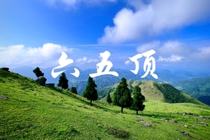 【广西六五顶】【夜登特种兵系列】广西六五顶，北欧同款杉树林，小红书火爆出圈