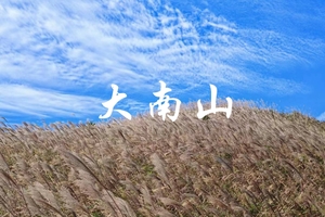 成团铁发！周末【广东版小武功山】大南山精华线，赏高山大草坡芦苇荡