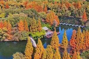 【江南秋】11月22日杭州集合：诗意江南，这三座城正迎来颜值巅峰，错过再等一年9日游