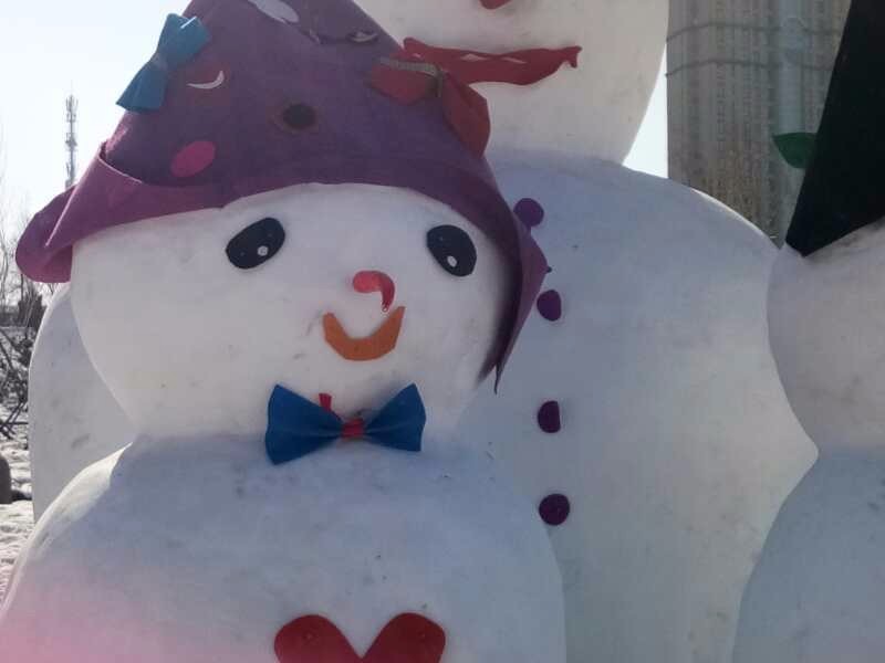 mmexport1519031069606