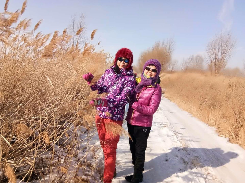 mmexport1519207097141