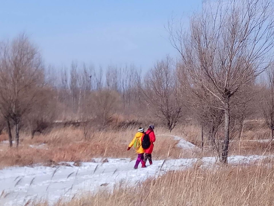 mmexport1519211145257