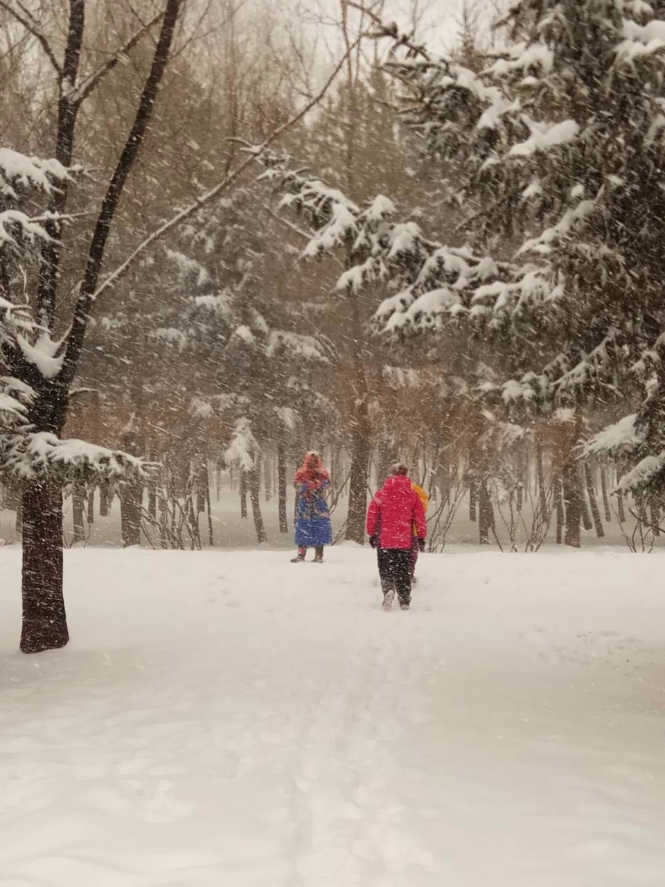 mmexport1520081515041