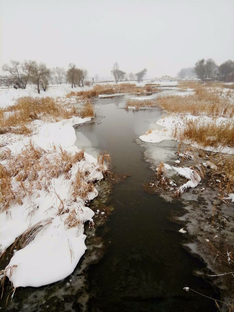 mmexport1520081602022