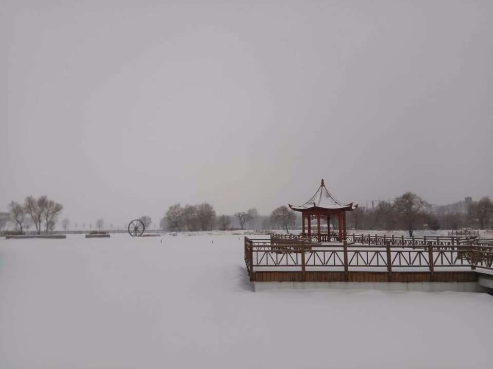 mmexport1520081615386