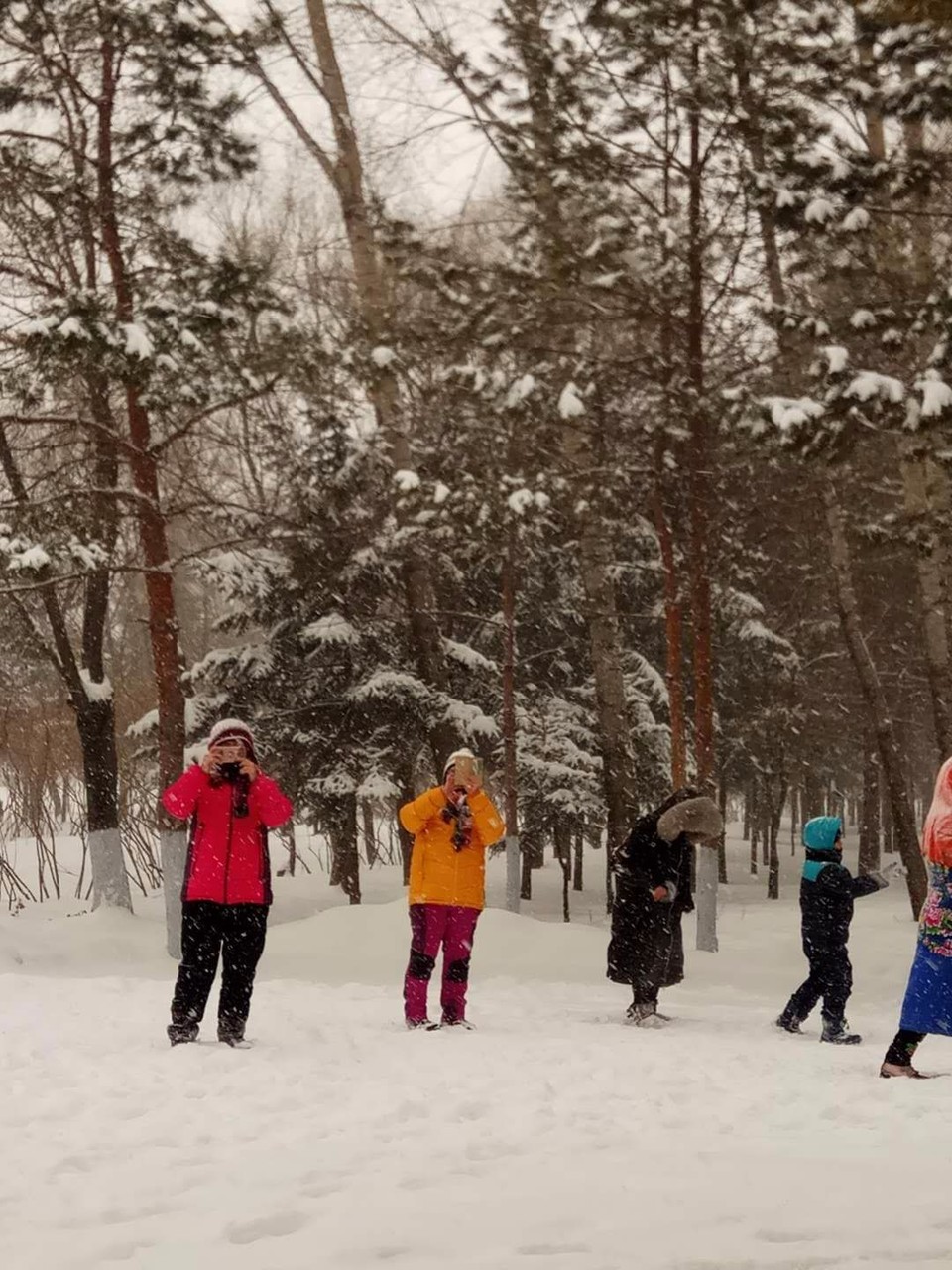 mmexport1520081551680