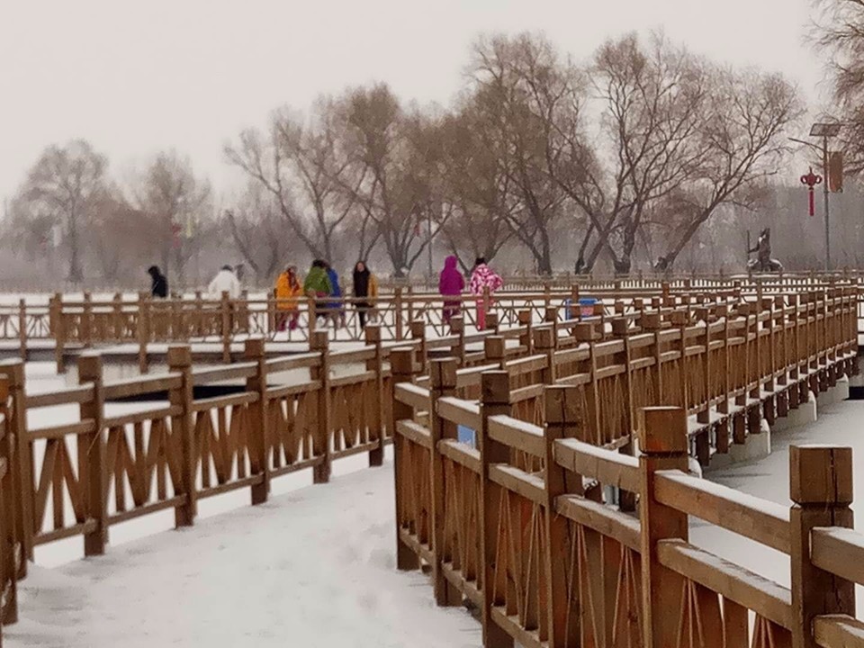 mmexport1520081639325