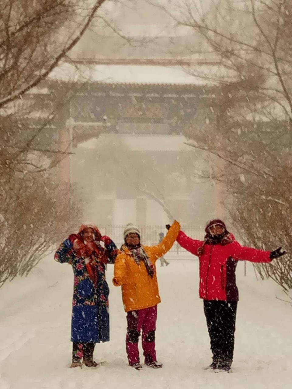 mmexport1520081519471