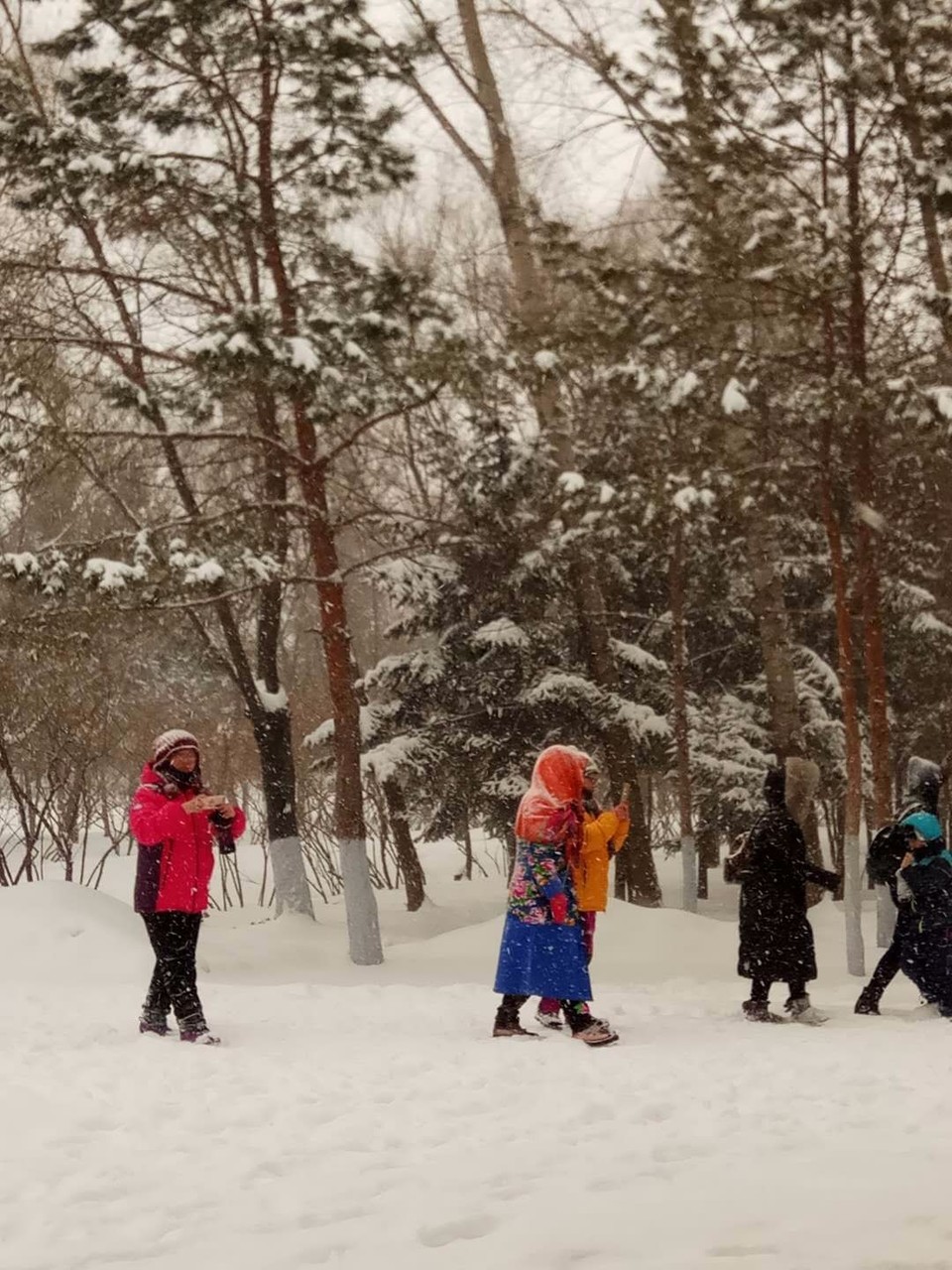 mmexport1520081542437