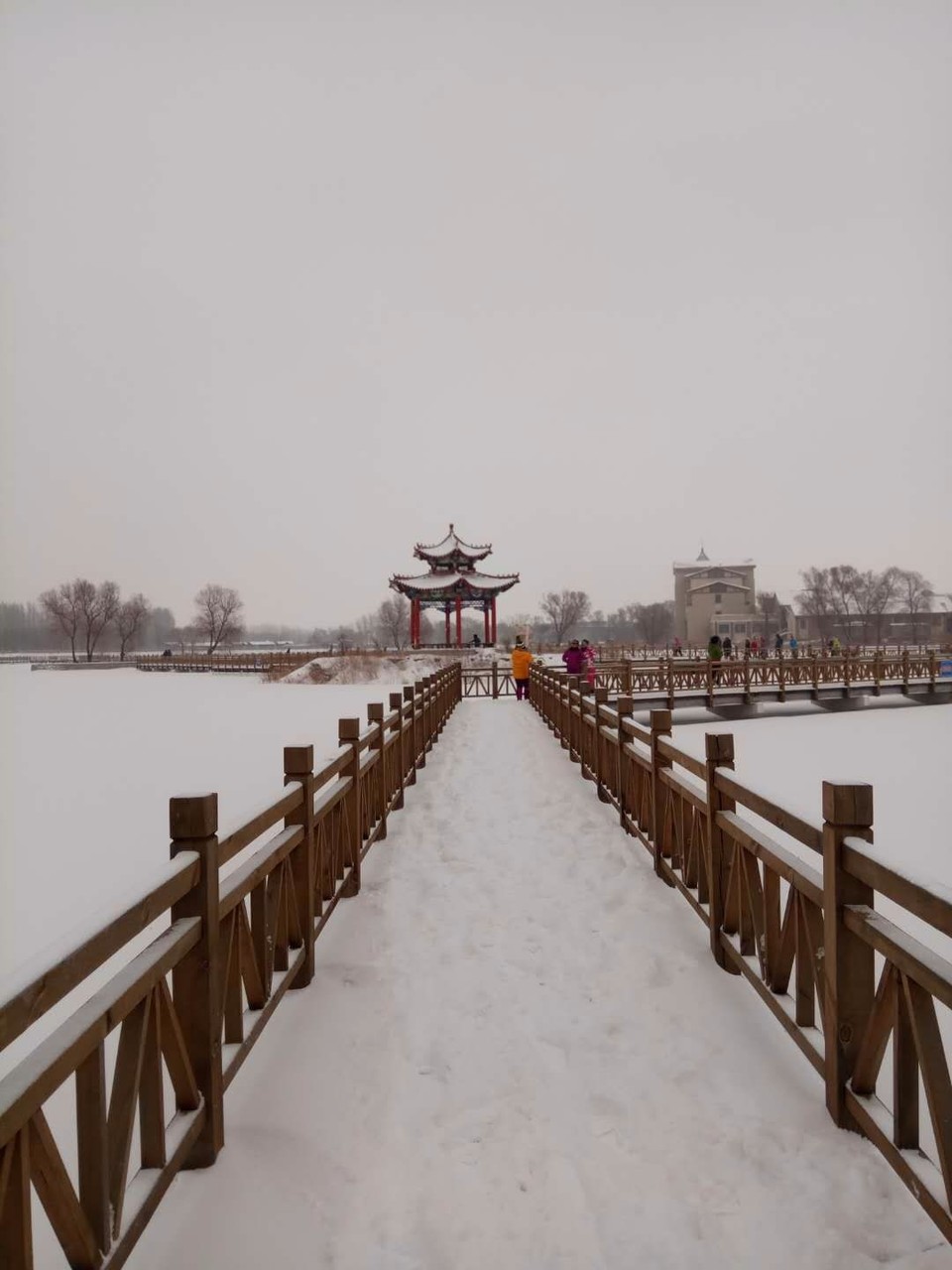 mmexport1520081623432