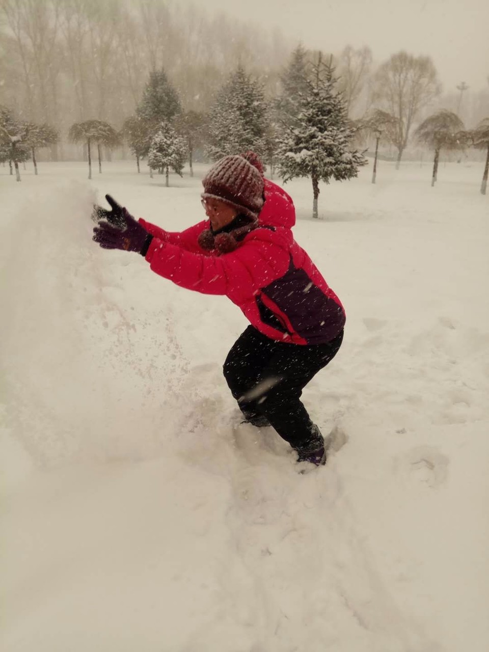 mmexport1520081506340