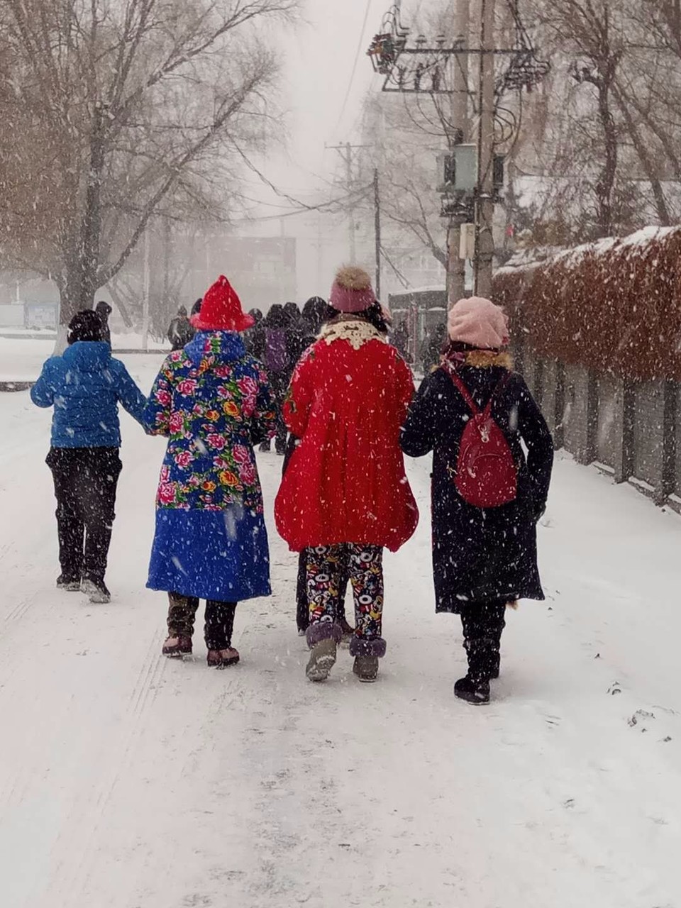 mmexport1520081338460