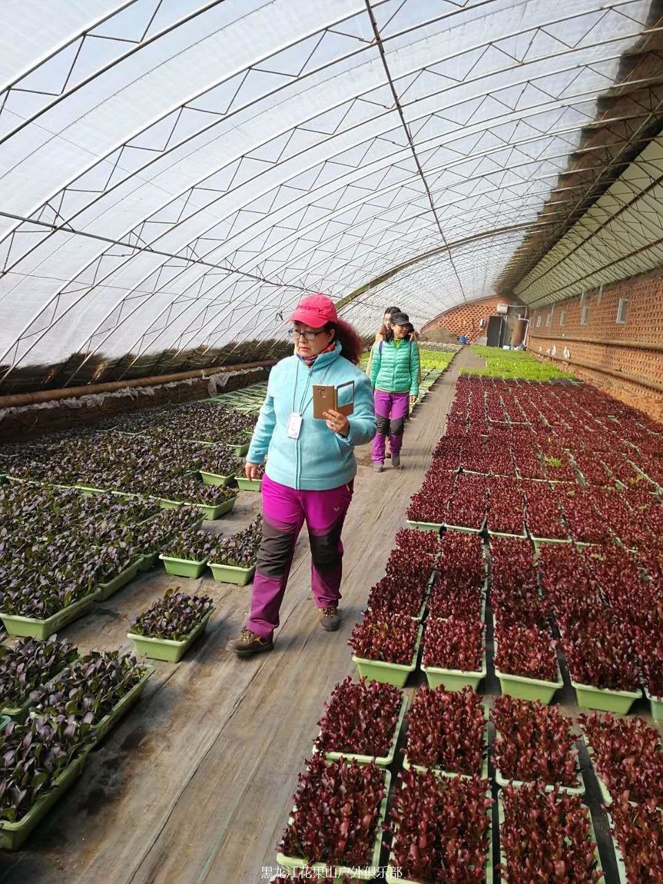 mmexport1521864574902