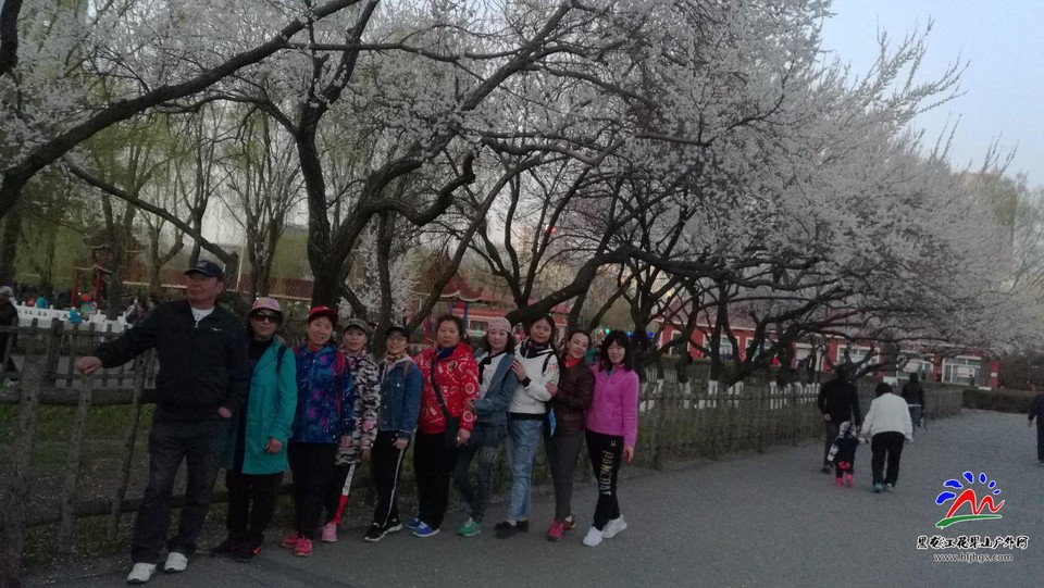 IMG_20180426_184534_2