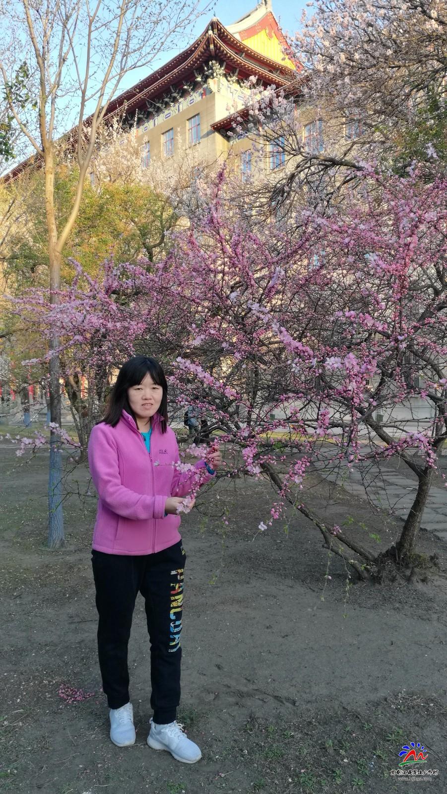 IMG_20180426_175446_1