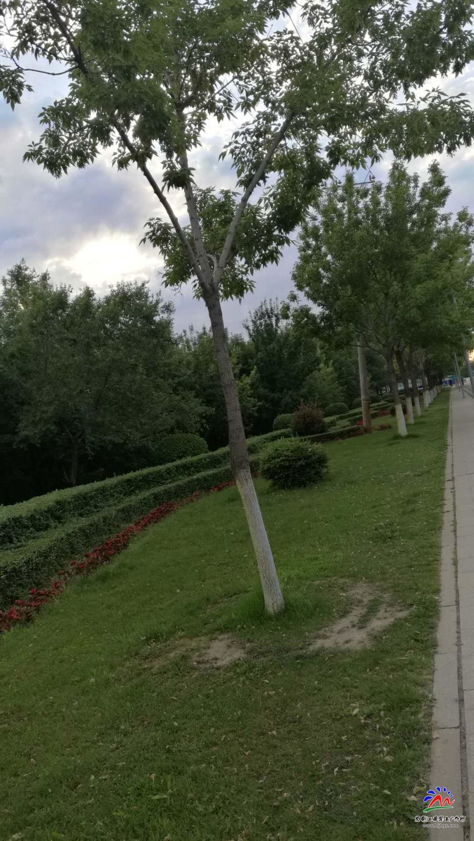 TwwDquIUY8Y3A43LXvkzAWhFZwwLnGojlvDuknWgdU0ZflX4hiwtVxIFRrbYoN8q