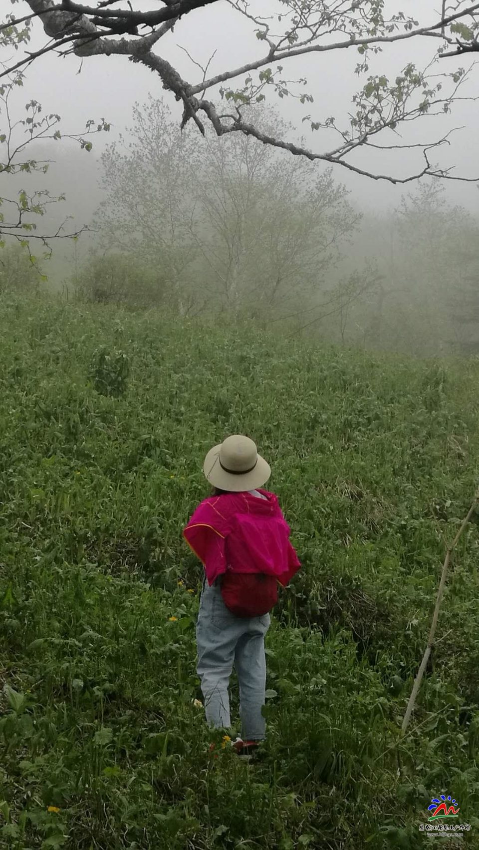 wQDoUpPTsvWTMkt_630Bw-aW3LNrLpNo-JIUL7p0cKecpw26D794SCDHPhoa4Ray