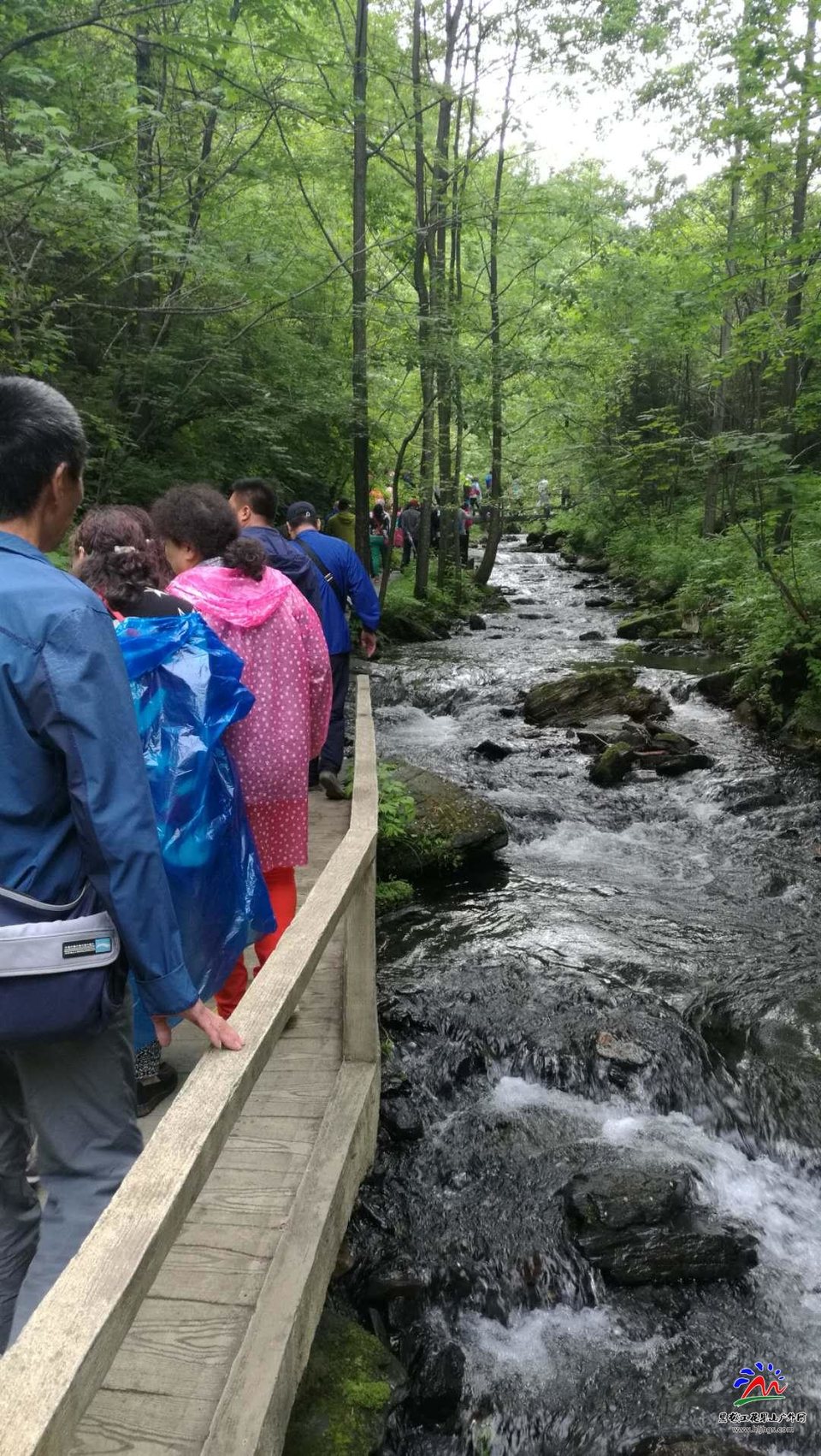 RpGqwh-r8bF3TcHqFOhtKpXj2_Ai2jmuQ-V3KUNzRFe5NMboGd_UlSk6X_Z_GrwJ