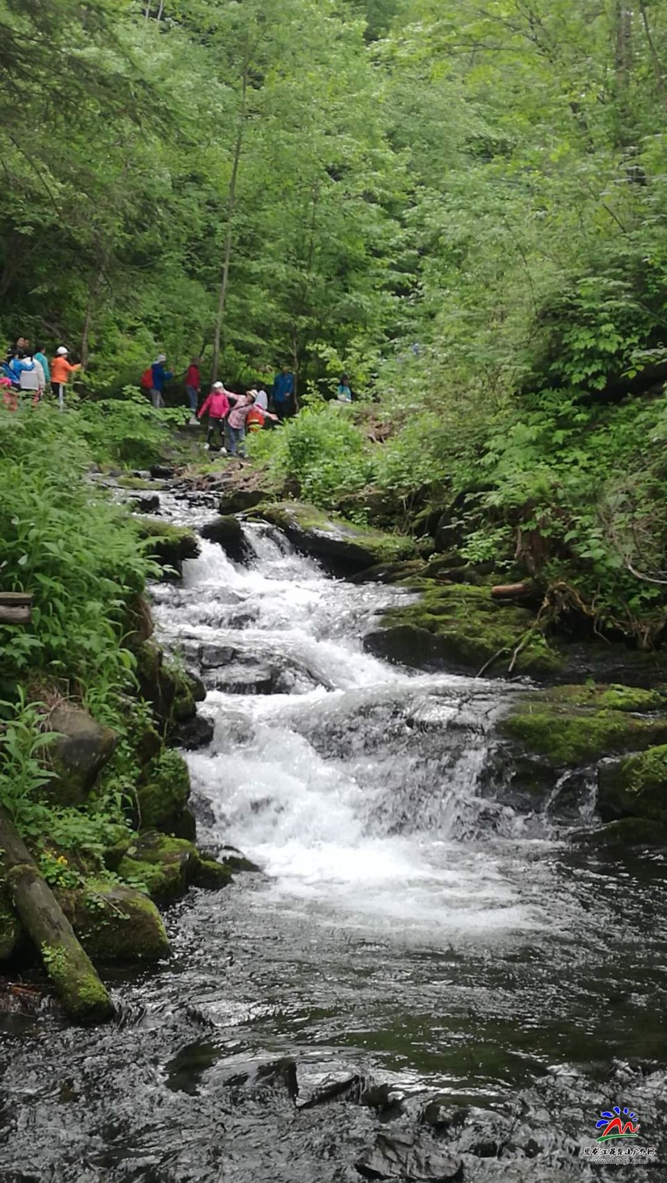 POt0O1Lt91fsMZ_6qTma-FdhyvKddS6BAq2HExYmkG3GQ2ziFfD3eYVAdyvdc8kY