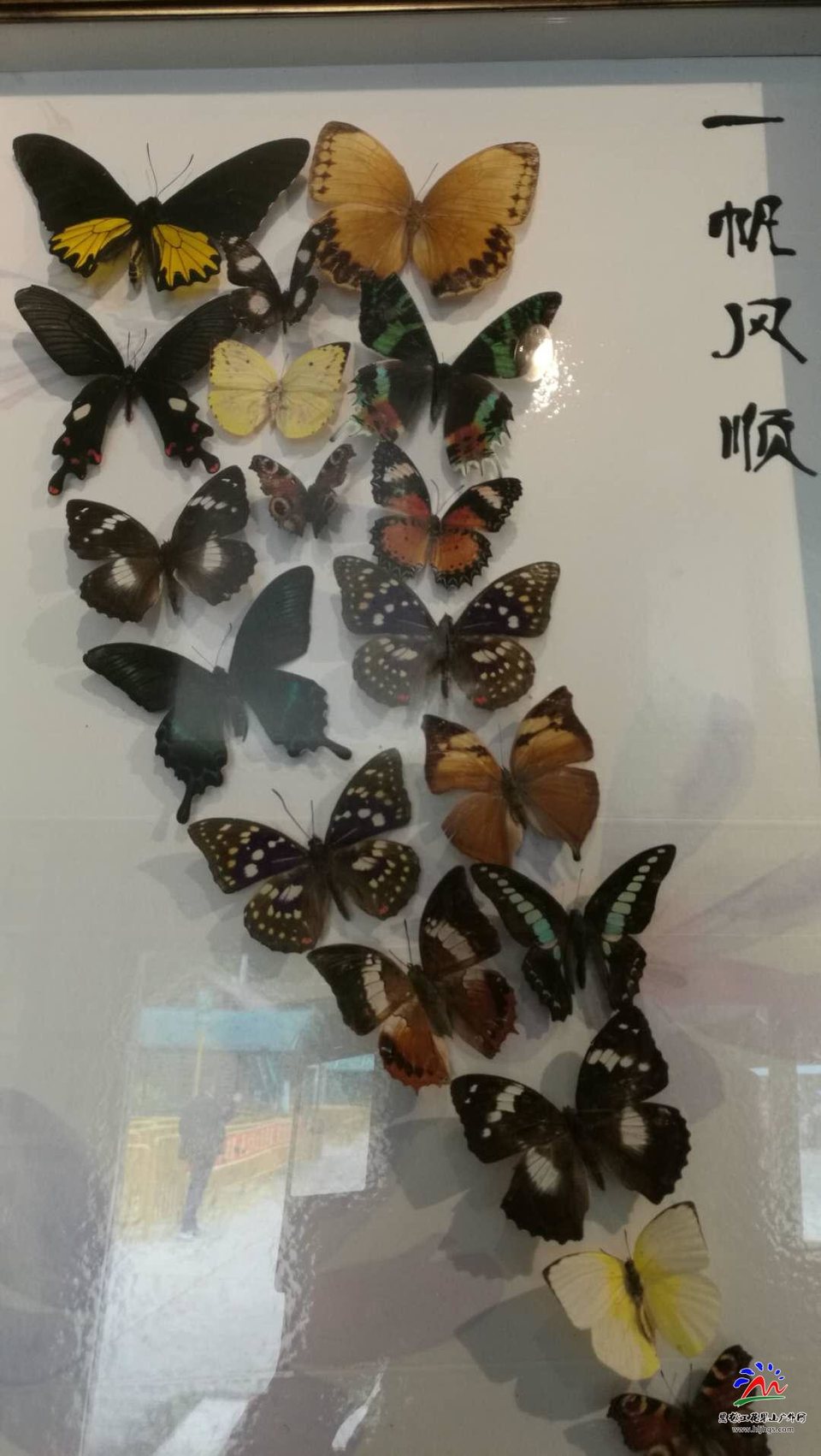 JumkuKt4UiVVvtKCbKW2iQXDXh45jklmzuhm6NIHR_Xg3vRZb1CI4LPi5EKeSqlb