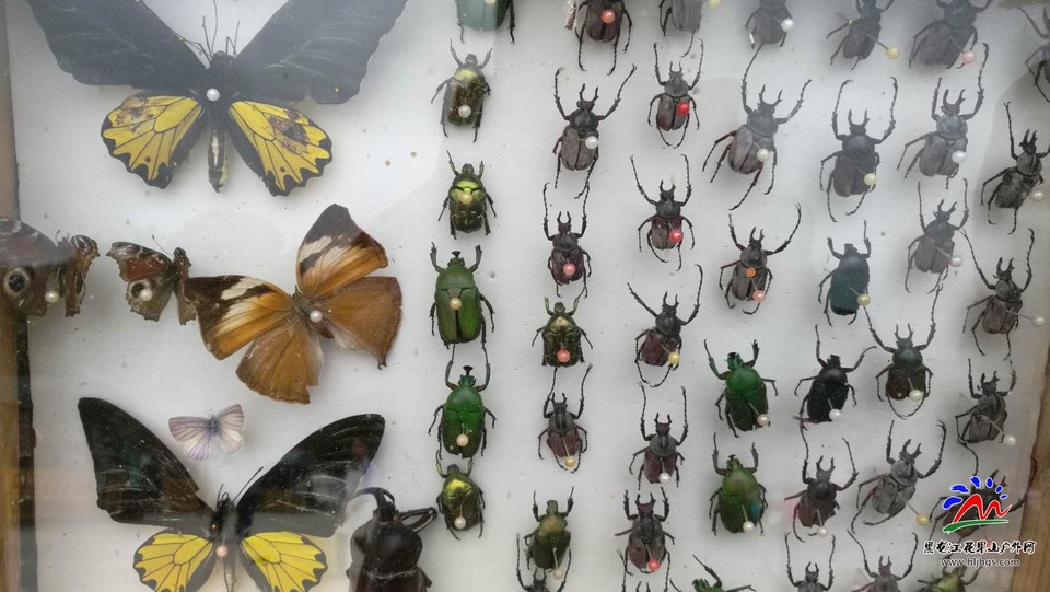 2bpJ53TOvNZhLzUM5iAGXGWlSzvGMOXFhCesiwm1msoeoUcpbDpexxMKDeAdLswQ