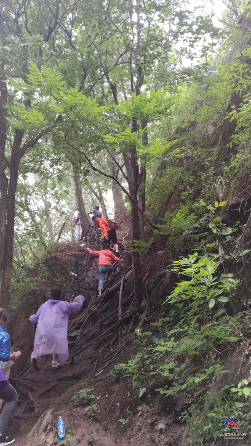 DdbFjfQijWdvXjZLpuaTG0O0v5Br1jDY6C_ERV-uVBmXc7WQp8rhobrKB0GOXEcb