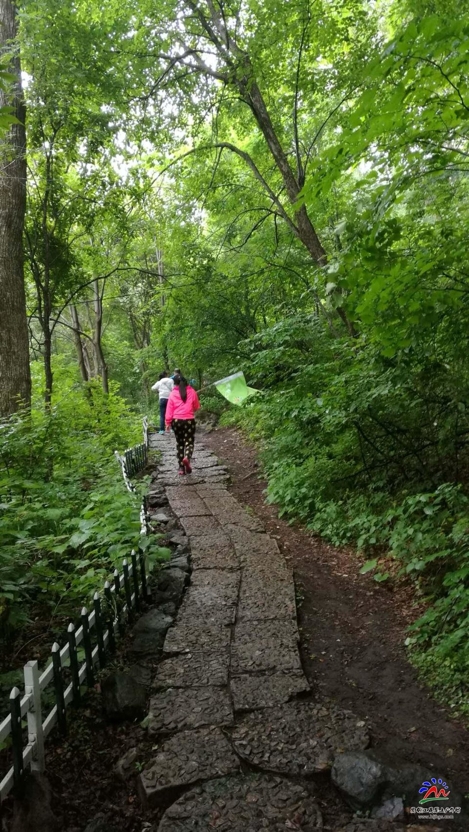 TUKtkME_mPhB1PkTi29Uyfp4oLdp3RhMnVGrPK_MR_YAVmTH-RwasL0rYguw5peT