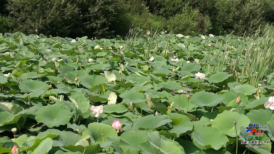 AH2LBu14TiZbhuqsMayXo0sIsZLb-Z_LtxLIU-XcxfHE0U_4AEQZOj0SRn3YYwat