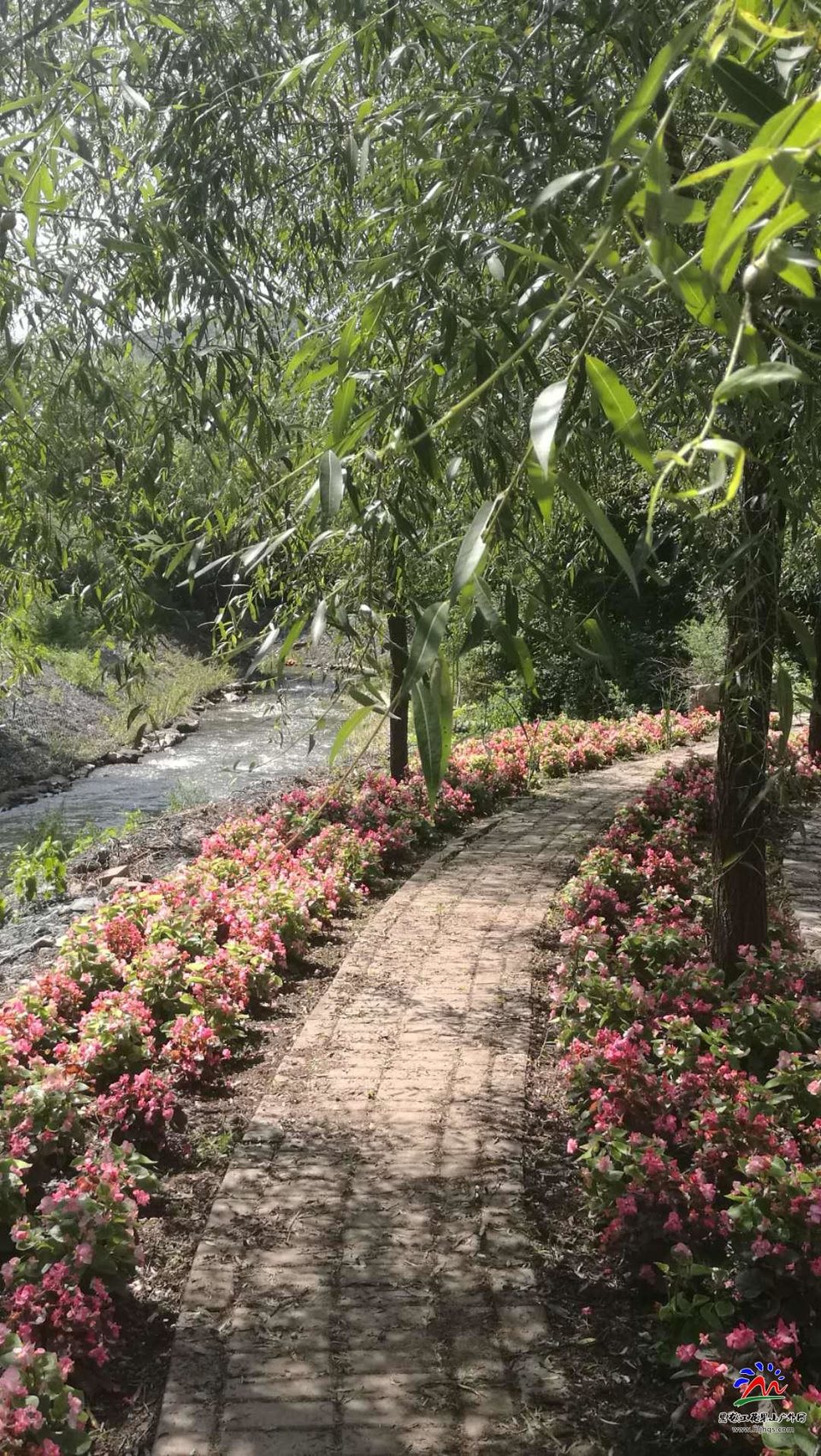 Dy4tPUX2kv7AnPmNrJsNBgsCeNzFCbBWE02bC_ho02Auj2sJ0SwFke2Tr3qXjQD_