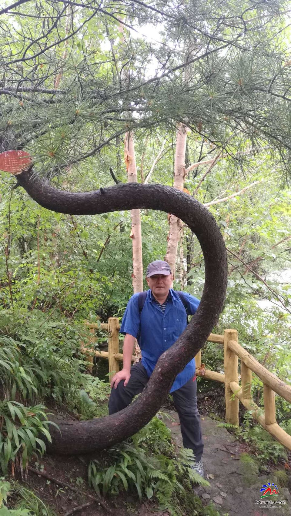 t-7_6jiQskIzG83Fiptdp4Yjg47APTEIg4AajWVWoRAPvfu_B_52iHEy5iG0w9bp