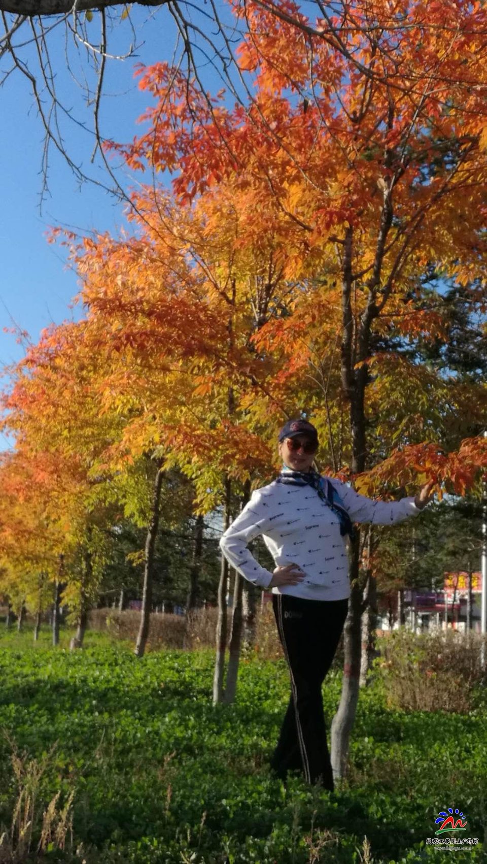 Euxobv5rk8LAvpyEEqZhleFdkvG896YuiGsLyjf9rJssAClGCzpHQVcrTM78tefO