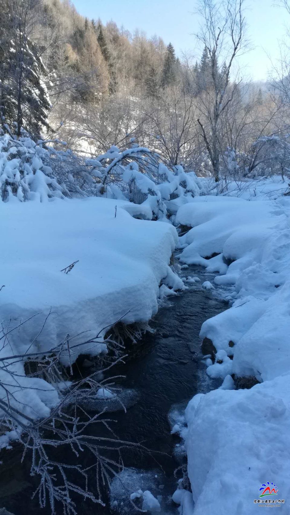 Ka_VTkpIwE09POFHTYhvVsW02tQHeAtZMQKxUT8WD1G5UaD_7y6NFF3_AHj6iyEk