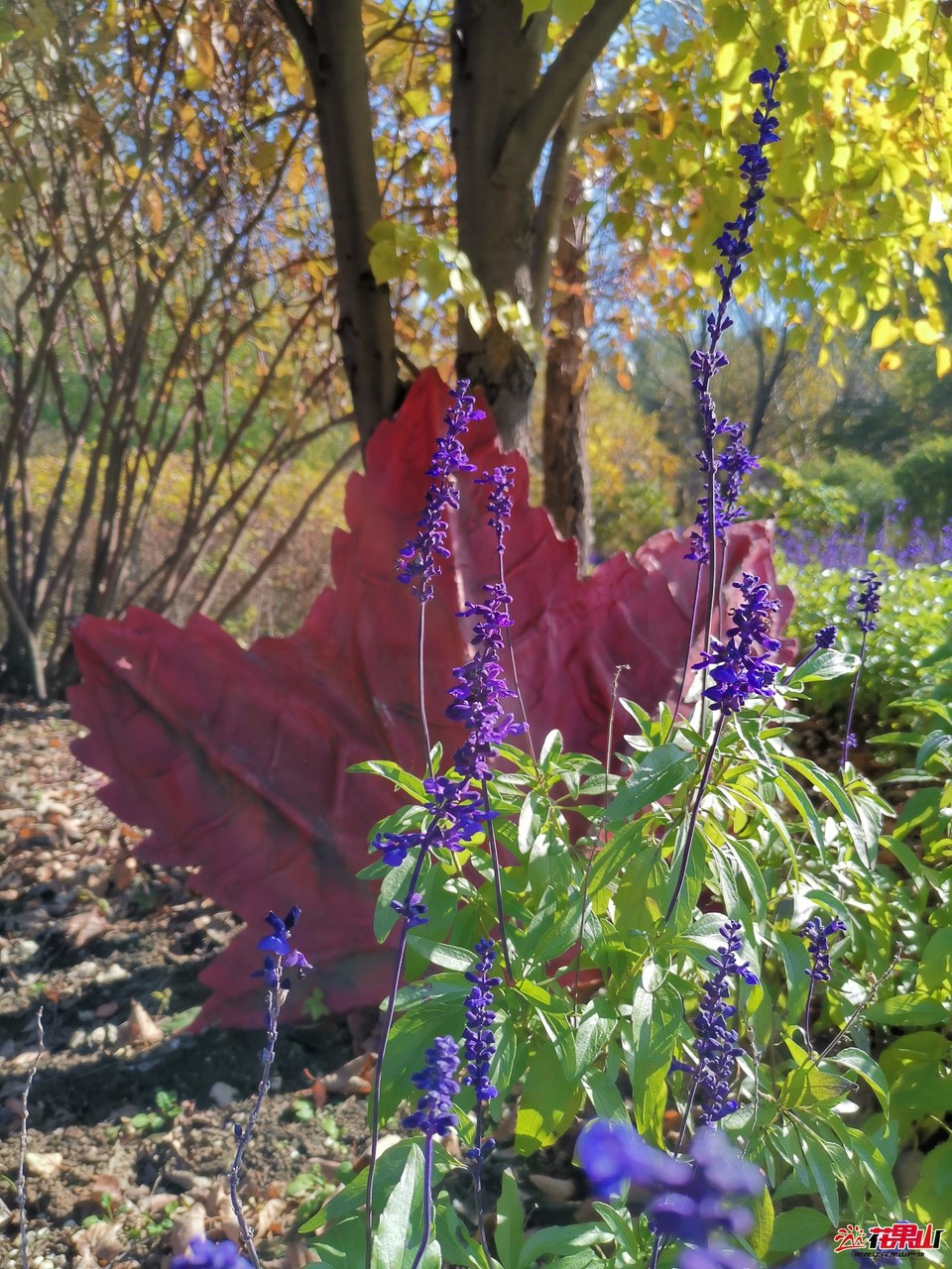 Qg_vQxr8wyWe03yMZNiv34SjWzkX7MfYrOvvKxLT-2RfZyltpym1CqY_oWAE2ww9