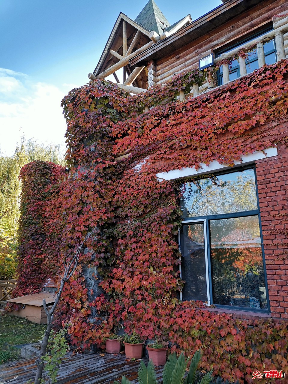 V6RbWD0vODbeL8g08azwKHALIHSx1Xf3swf44WEiP1n0zppYAhmrJwATfUGX9QuY